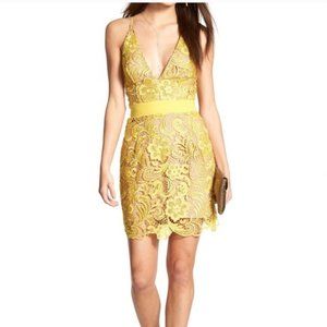 Dress the Population Yellow Lace Dress